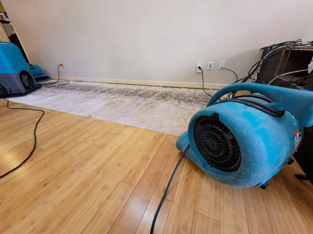 Professional Water Damage Repair technician working in Woodbury, MN